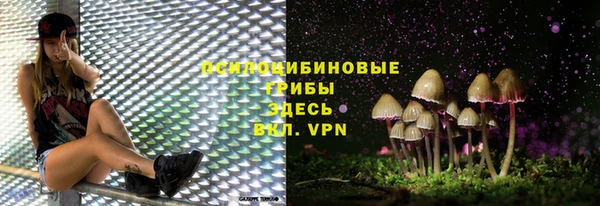 скорость mdpv Переславль-Залесский