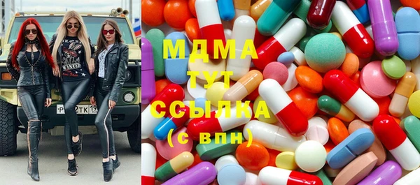 индика Галич