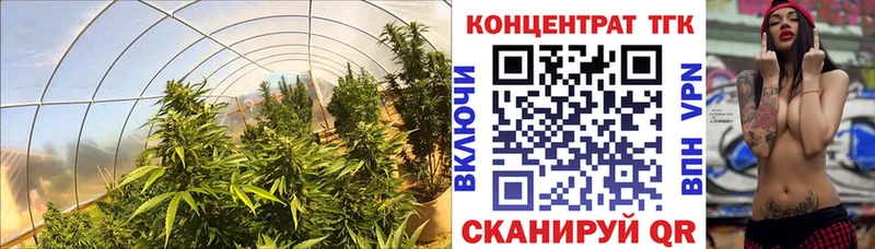 ТГК гашишное масло  Поронайск 